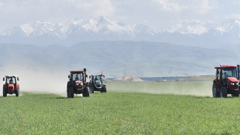 Мамлекеттик фондунун жерлерлерин ижарага берүү үчүн конкурс жарыяланат