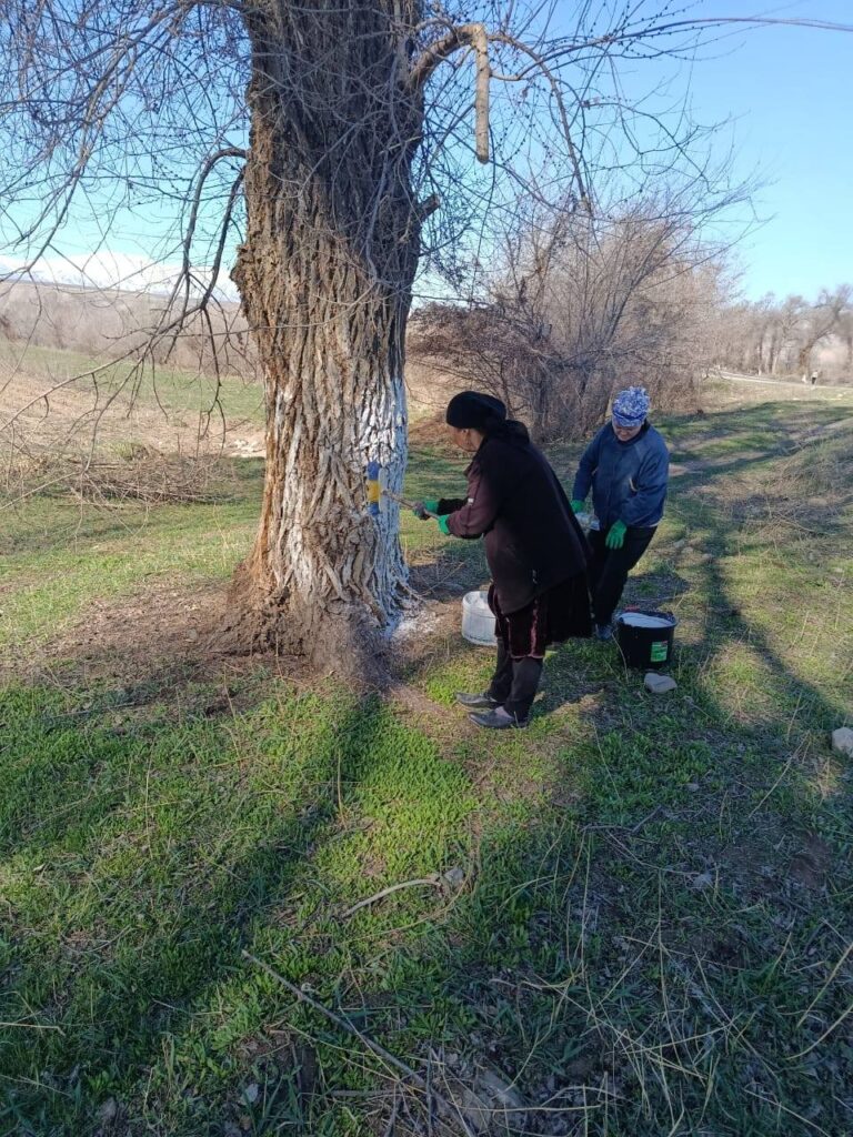 Райондун аймагында ишембилик улантылды